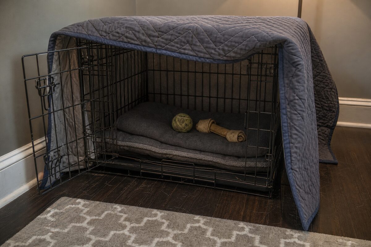 A blanket-draped crate set up as a safe den in an interior room with the lights low