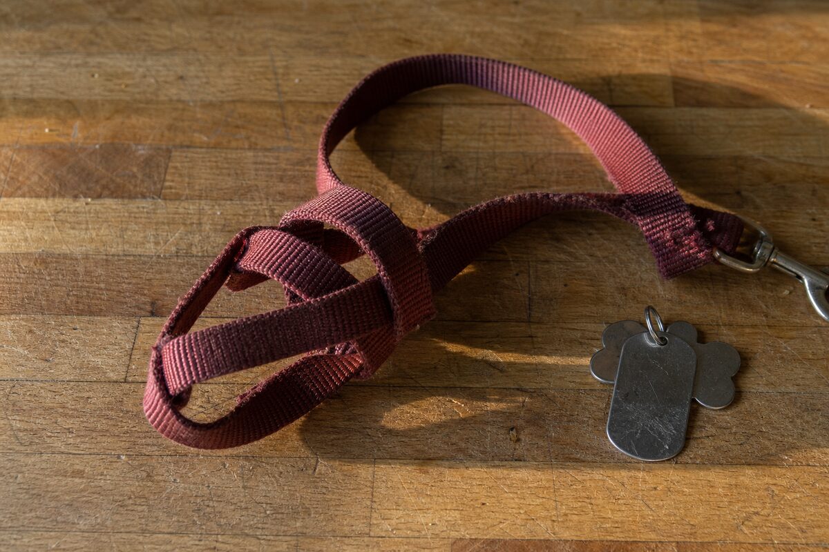 A leash looped into an improvised dog muzzle resting on a kitchen counter